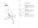 Standards des canaris de race et de position.. Princen, A.