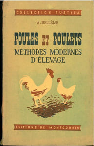 Poules et poulets, méthodes modernes d'élevage.