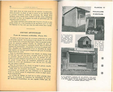 Poules et poulets, méthodes modernes d'élevage.
