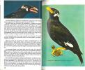 Le guide des mainates, les oiseaux qui parlent.. Busenbark, R.l. & H.J. Bates