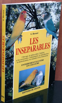 Les inséparables.. Ravazzi, Giani