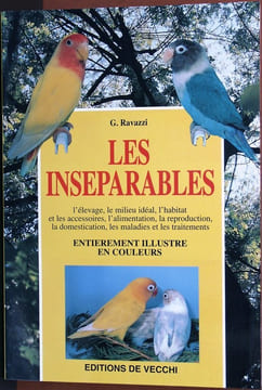 Les inséparables.. Ravazzi, Giani
