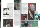 Handbook of birds, cages and aviaries, the complete guide to keeping & housing pet and aviary birds.. Collectif,