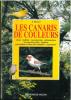 Les canaris de couleurs.. Ravazzi, Giani