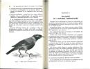 Les maladies des oiseaux de cage et de volière.. Wailly, Philippe de