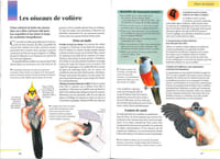 Vos oiseaux de cage et de volière, les choisir, les accueillir, les nourrir, les soigner, connaitre les espèces.