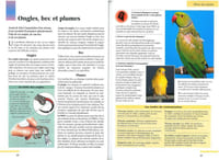 Vos oiseaux de cage et de volière, les choisir, les accueillir, les nourrir, les soigner, connaitre les espèces.