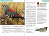 Vos oiseaux de cage et de volière, les choisir, les accueillir, les nourrir, les soigner, connaitre les espèces.