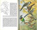 Knaurs Vogelbuch, Das Hausbuch für Vogelfreunde und Vogelliebhaber.. Steinbacher, Georg