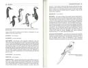The dictionary of aviculture, keeping and breeding birds.. Martin, R.M.