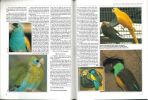 Australian Birdkeeper Special Edition 1987-1989.. Collectif,