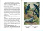 Pheasants, including their care in the aviary.. Gerrits, H.A.