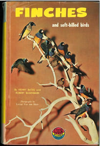 Finches and soft-billed birds.
