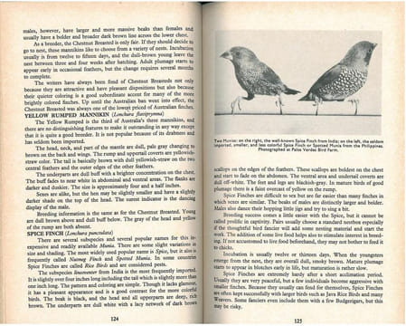 Finches and soft-billed birds.. Bates, H.J. & R.I. Busenbark