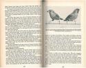 Finches and soft-billed birds.. Bates, H.J. & R.I. Busenbark