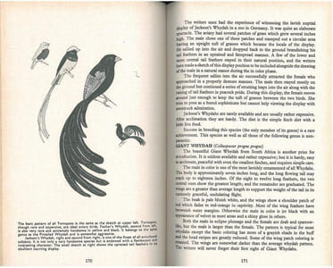 Finches and soft-billed birds.