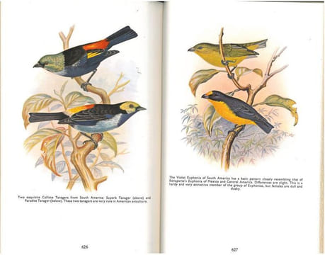 Finches and soft-billed birds.. Bates, H.J. & R.I. Busenbark
