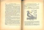 Le pigeon.. Lissot, G.