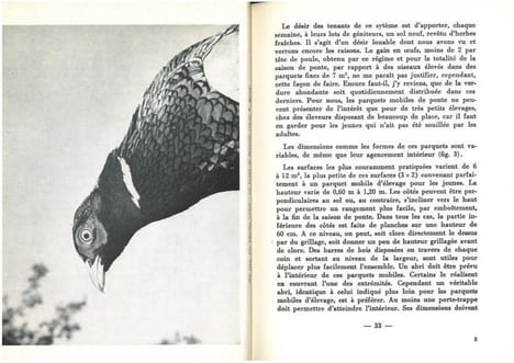 Le faisan, son élevage, ses maladies.. Lucas, A.