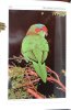 Handbook of lories and lorikeets.. Sweeney, R.