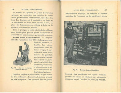 La basse-cour. Guide pour l'élevage pratique et économique des poules, lapins, pigeons, canards, oies, dindons, pintades.