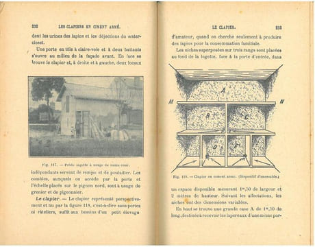 La basse-cour. Guide pour l'élevage pratique et économique des poules, lapins, pigeons, canards, oies, dindons, pintades.. Arnould, C.