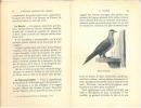 L'élevage pratique des pigeons à la volière de la maison bourgeoise. Le pigeon voyageur.. Renaudet, G.B.