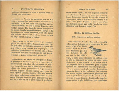 L'art d'élever et d'instruire les oiseaux, oiseaux chanteurs, oiseaux parleurs, oiseaux de volière.