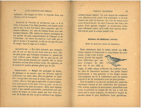 L'art d'élever et d'instruire les oiseaux, oiseaux chanteurs, oiseaux parleurs, oiseaux de volière.. Champaime, L.E.