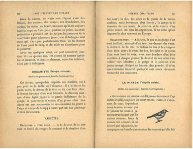 L'art d'élever et d'instruire les oiseaux, oiseaux chanteurs, oiseaux parleurs, oiseaux de volière.
