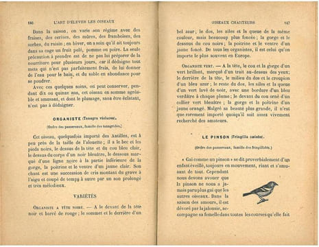 L'art d'élever et d'instruire les oiseaux, oiseaux chanteurs, oiseaux parleurs, oiseaux de volière.. Champaime, L.E.