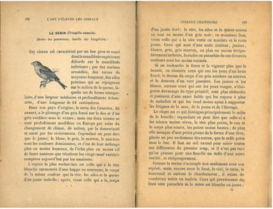 L'art d'élever et d'instruire les oiseaux, oiseaux chanteurs, oiseaux parleurs, oiseaux de volière.