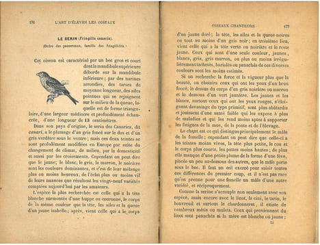 L'art d'élever et d'instruire les oiseaux, oiseaux chanteurs, oiseaux parleurs, oiseaux de volière.. Champaime, L.E.