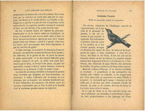 L'art d'élever et d'instruire les oiseaux, oiseaux chanteurs, oiseaux parleurs, oiseaux de volière.. Champaime, L.E.