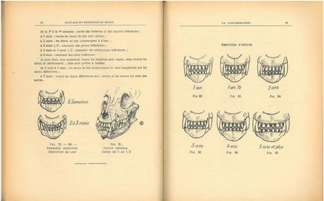 Elevage et médecine du chien.. Lebeau, A.