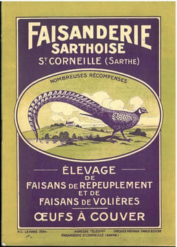 Faisanderie sarthoise, élevage de faisans de repeuplement et de faisans de volières, oeufs à couver.. Anonyme,
