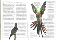 Vous et vos oiseaux de cage et de volière.