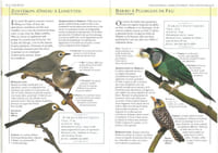 Vous et vos oiseaux de cage et de volière.