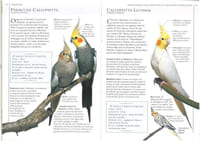 Vous et vos oiseaux de cage et de volière.