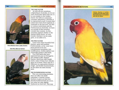 The colored atlas of lovebirds.