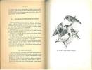 Etude pratique des oiseaux de cage & de volière.. Cuisinier, L.