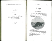 Méthodes d'élevage des animaux à fourrure, tome 1.