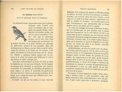 L'art d'élever et d'instruire les oiseaux, oiseaux chanteurs, oiseaux parleurs, oiseaux de volière.