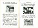 Les maladies des animaux domestiques causées par les microbes anaérobies : diagnostic, thérapeutique, prophylaxie.. Katitch, R.v.