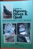 A guide to pigeons, doves & quail, their management, care and breeding.. Brown, Danny