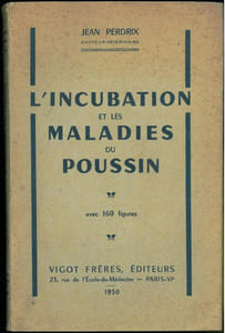 L'incubation et les maladies du poussin.