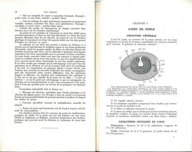 L'incubation et les maladies du poussin.