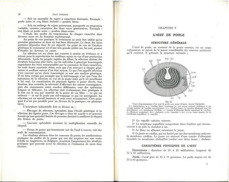 L'incubation et les maladies du poussin.. Perdrix, Jean
