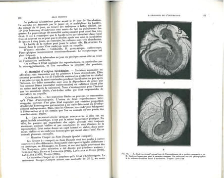 L'incubation et les maladies du poussin.. Perdrix, Jean