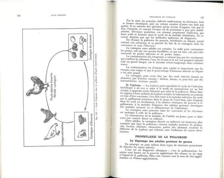 L'incubation et les maladies du poussin.. Perdrix, Jean